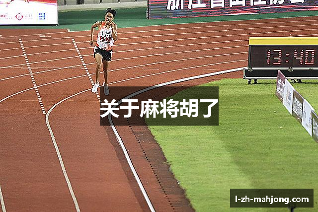 关于麻将胡了